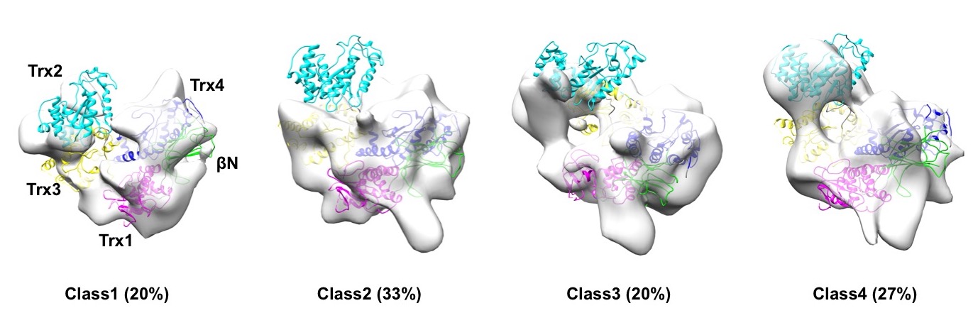 Fig1.jpg
