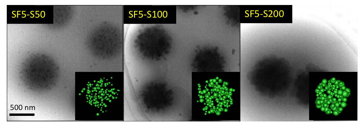 fig01-watanabe_et_al.png