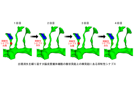 kubota.jpg