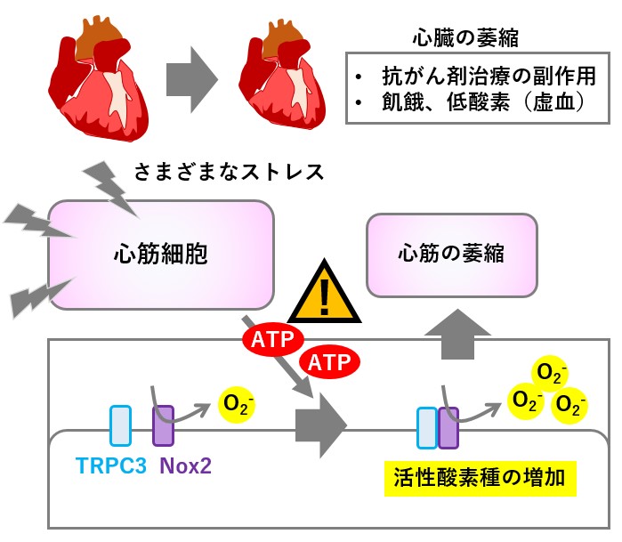 nishida20190705.jpg