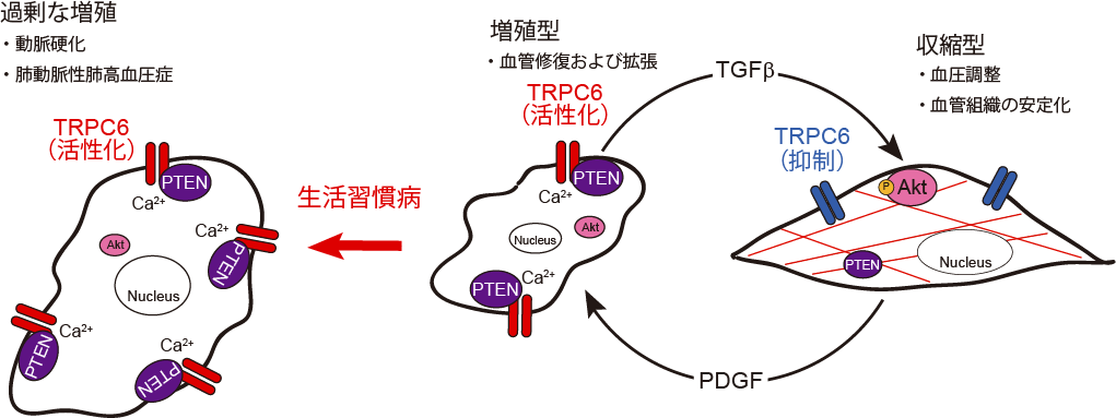 nishida_tomita20190617.png