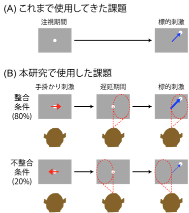 yoshidajp2.jpg