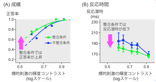 yoshidajp3.jpg