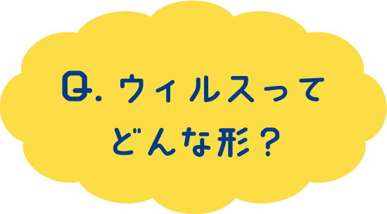 Q.ウィルスってどんな形？