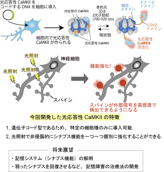 20210202murakoshi-1.png