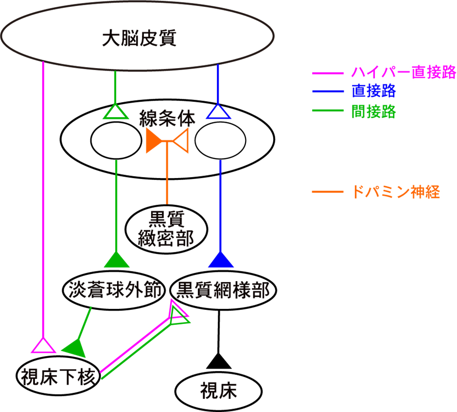 20210303nambu-1.png