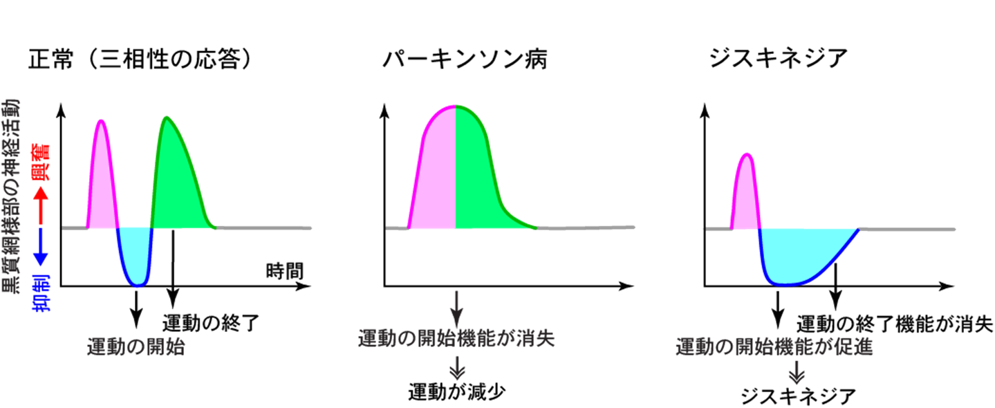 20210303nambu-2.png