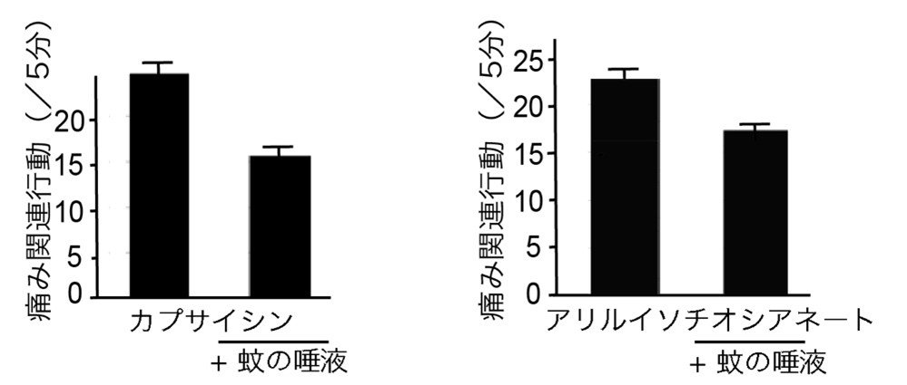 20210517tominaga-3.jpg