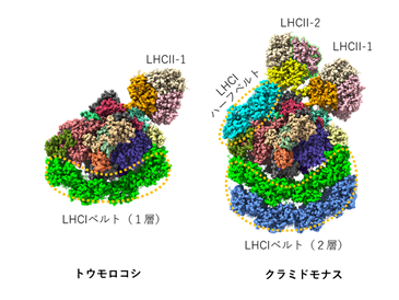 20210709minagawa-3.png