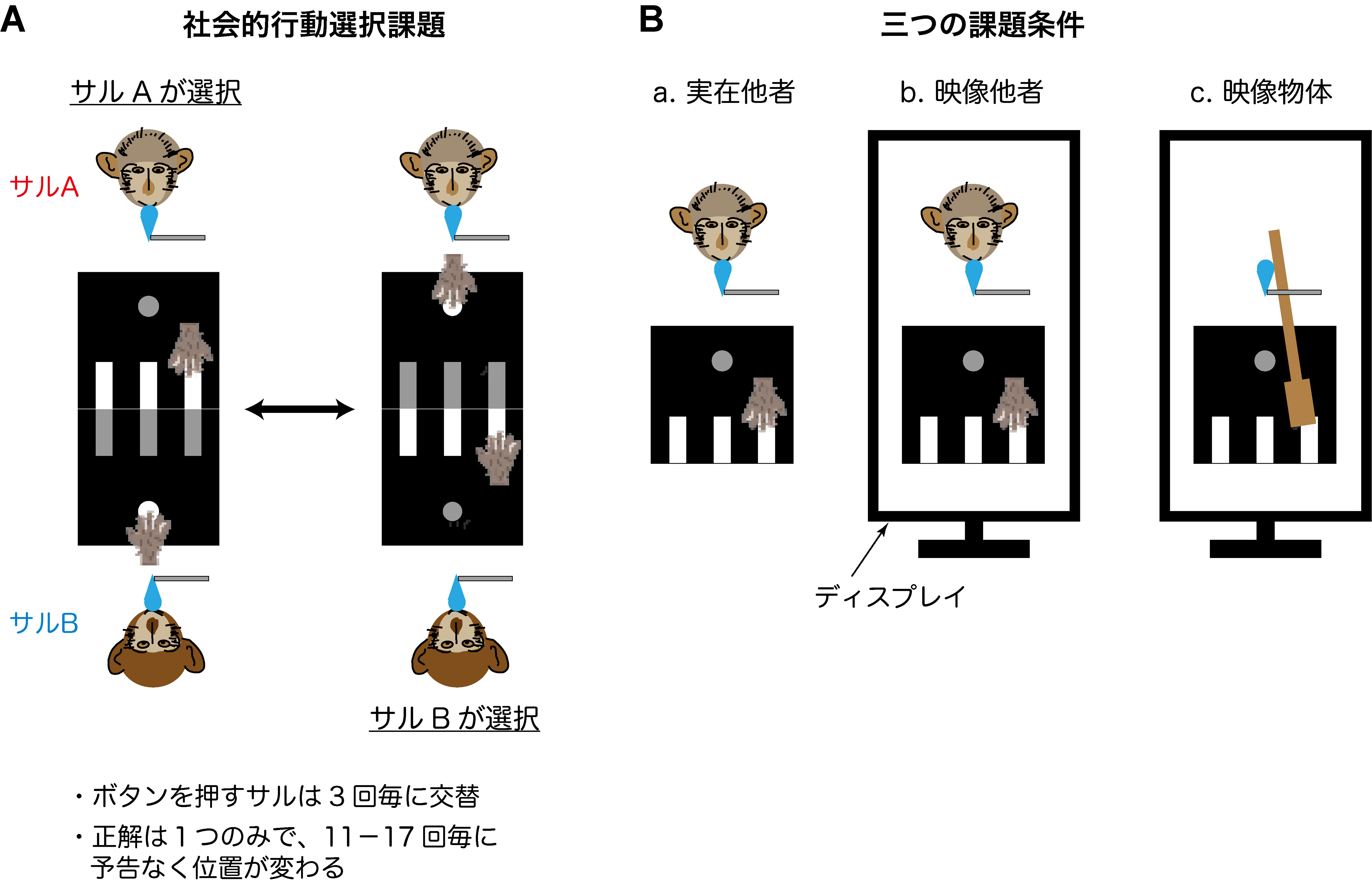 生理学研究所 Nips Research