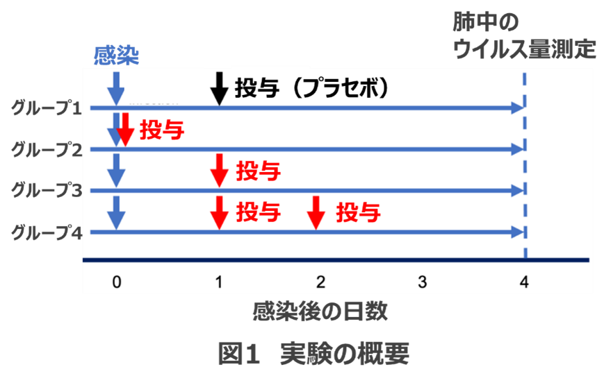 20211116murata-1.png