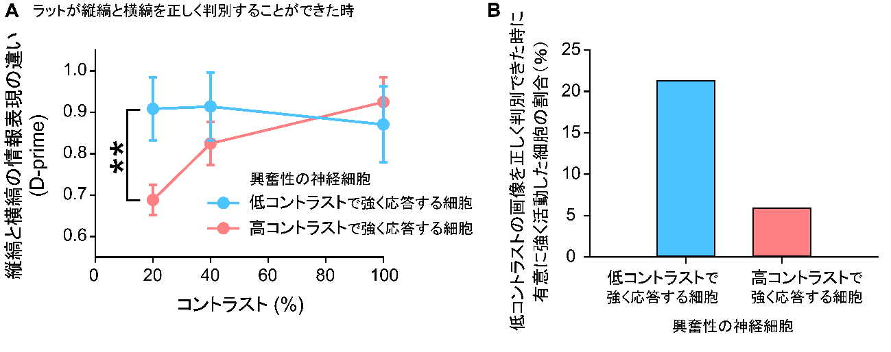 20211127kimura-3.png