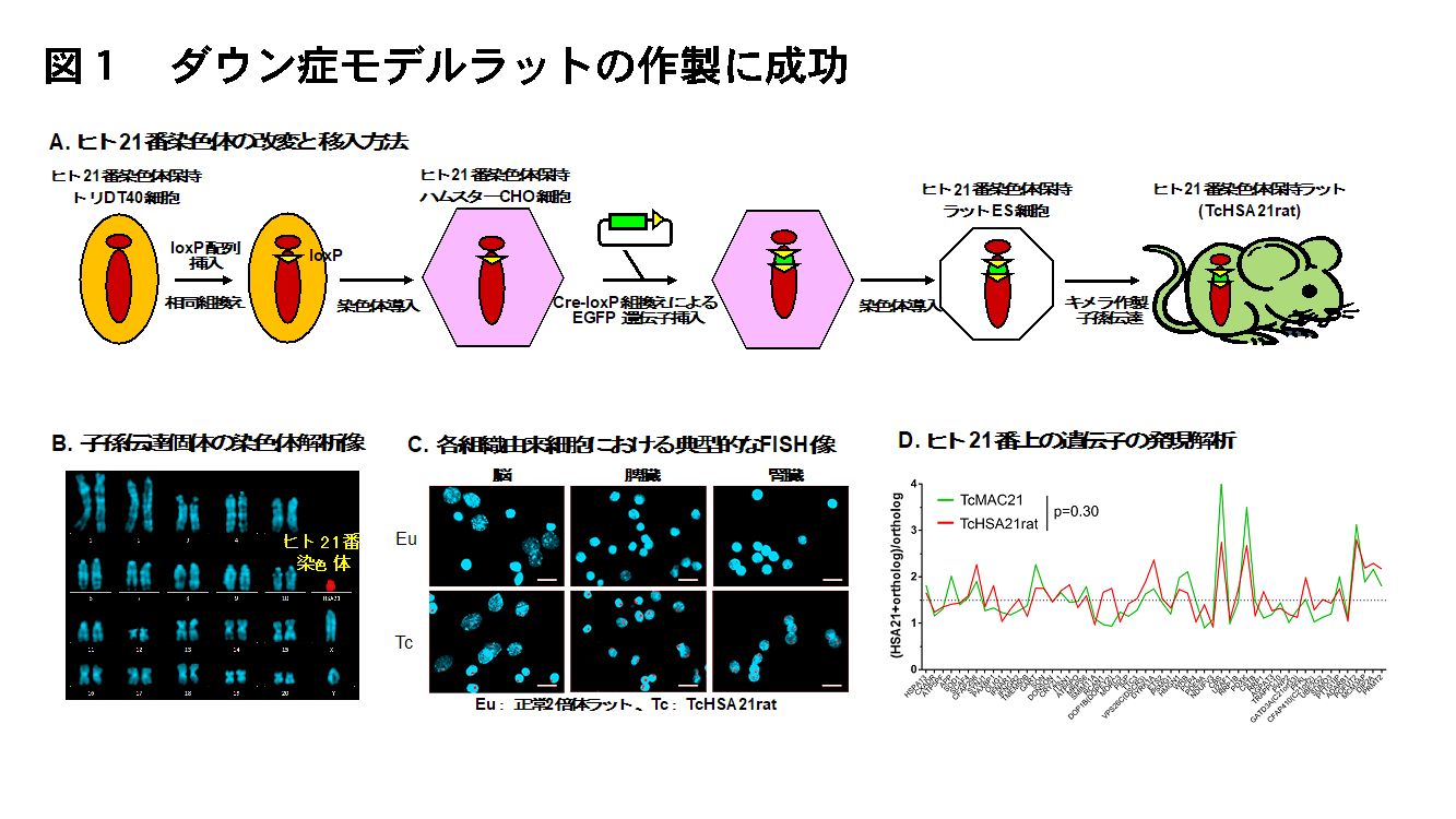 20220125hirabayashi-1.png