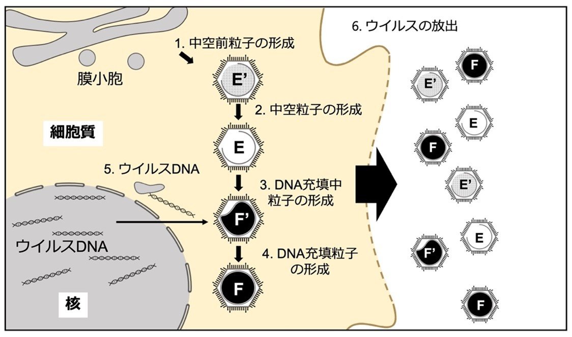 20220318murata-3.jpg