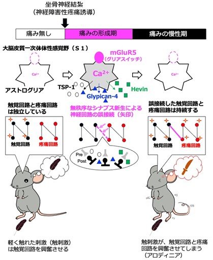 20220324nabekura-1.jpg