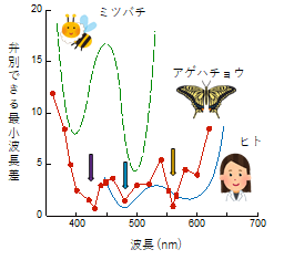 sokendai-1