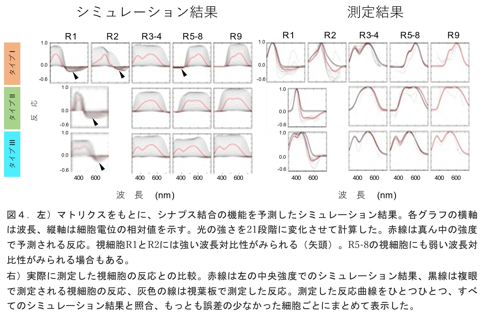 sokendai-4