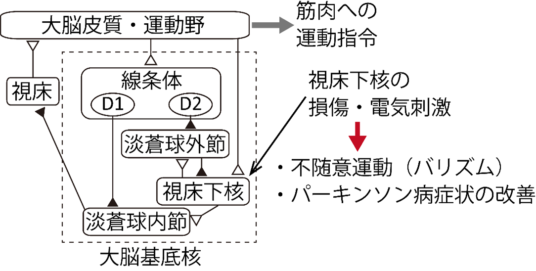 20220426nambu-1