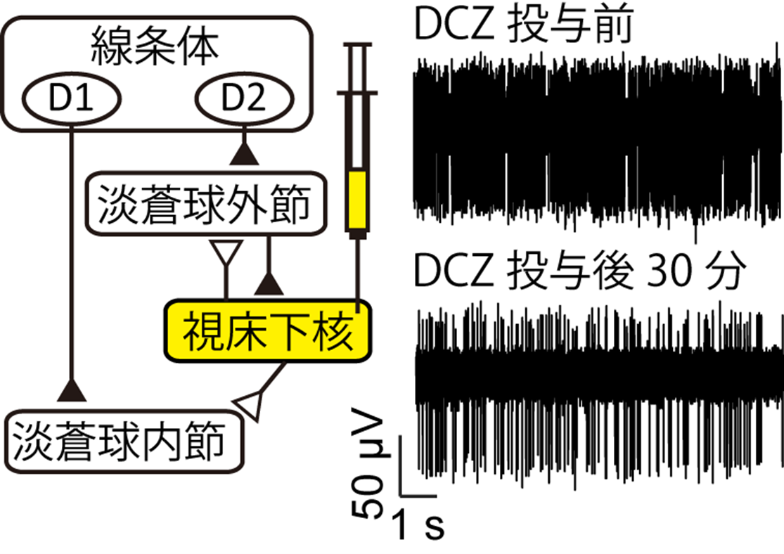 20220426nambu-2