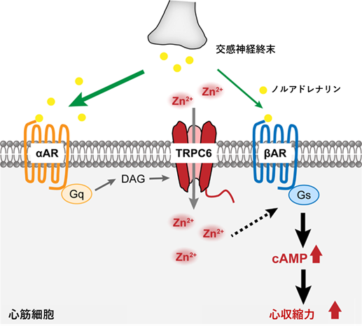 20221104nishida-1.png