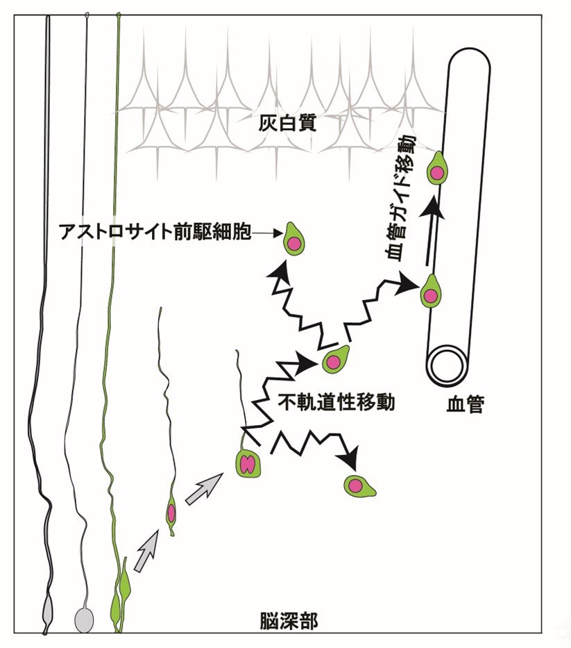 20221206nabekura-1.jpg