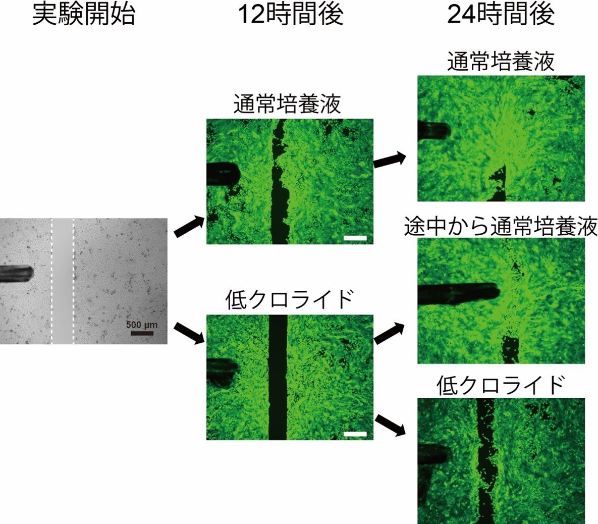 20230131tominaga-3.jpg