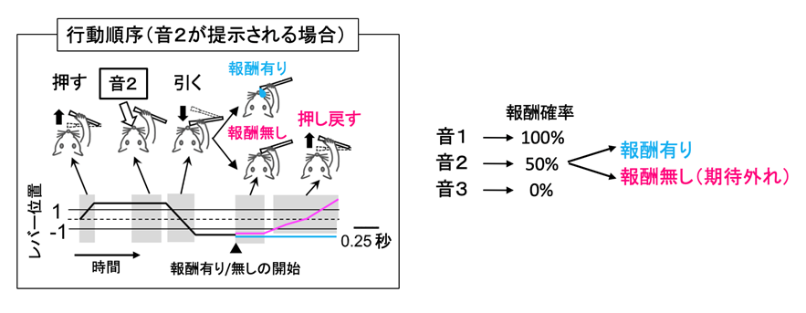 20230311ogawa-2.png