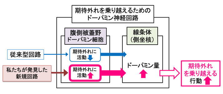 20230311ogawa-4.png