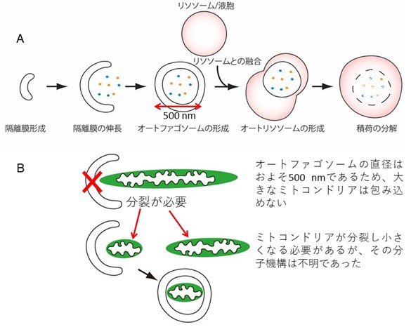 20230512murata-1.jpg