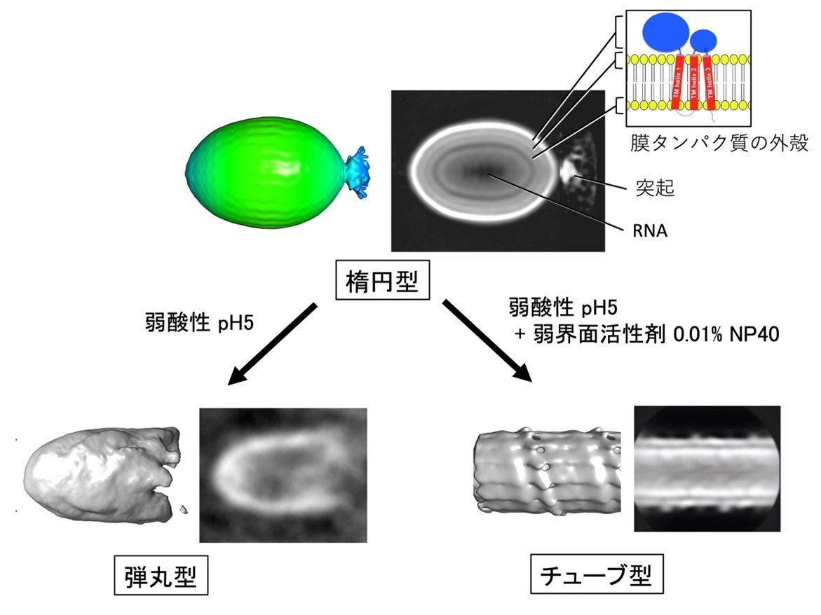 20230614murata-2.jpg