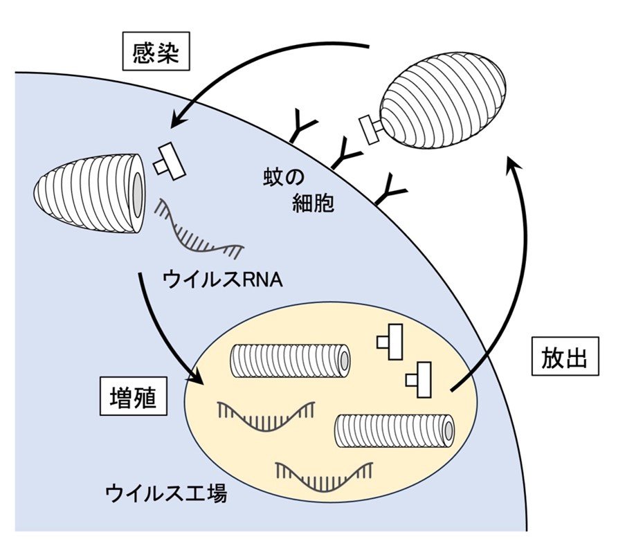 20230614murata-3.jpg