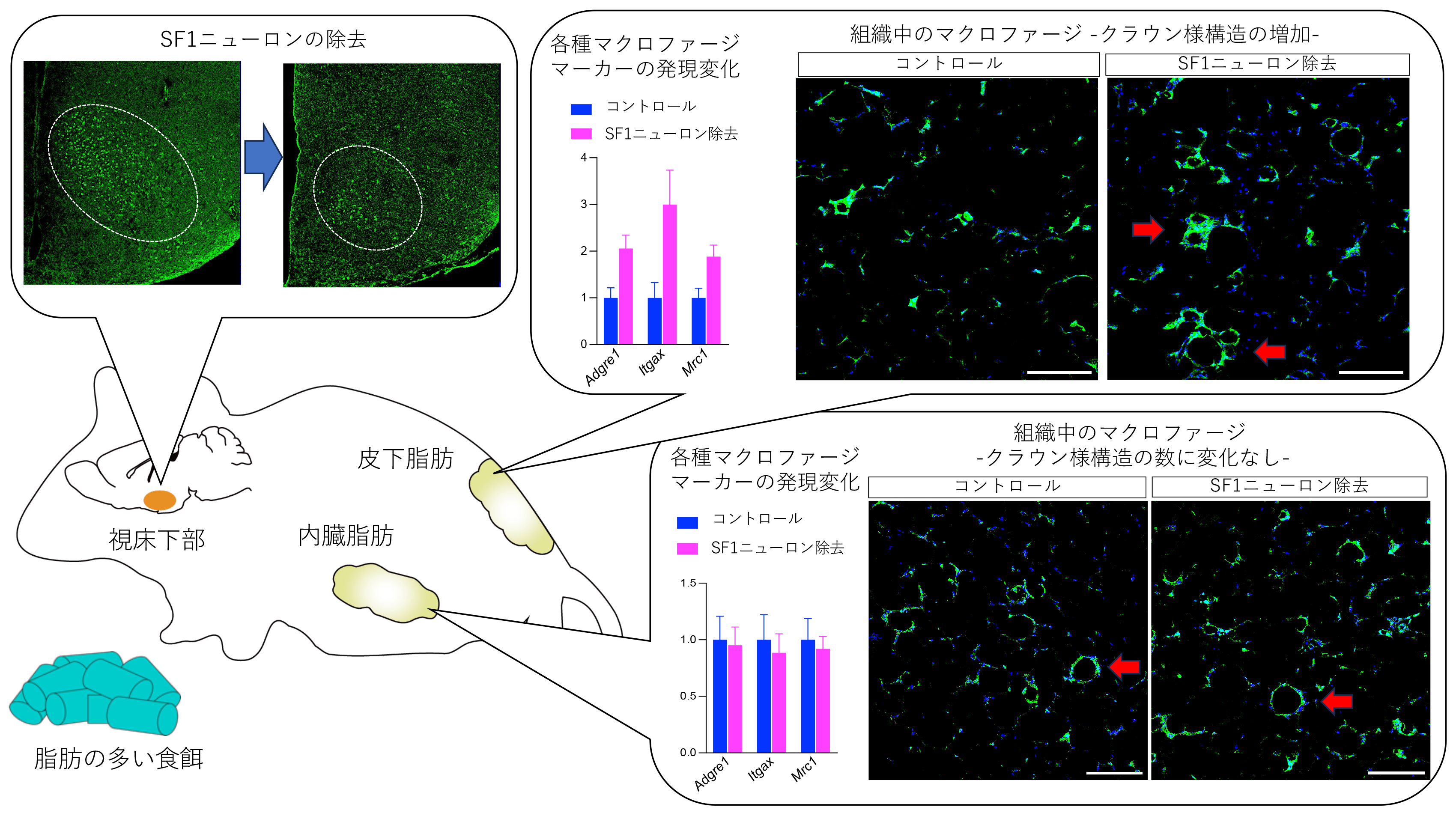 20230620minokoshi-1-2.png