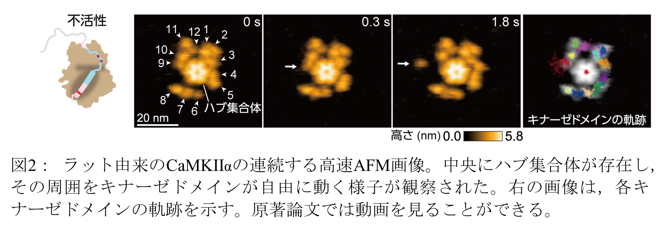 20230701murakoshi-2.png