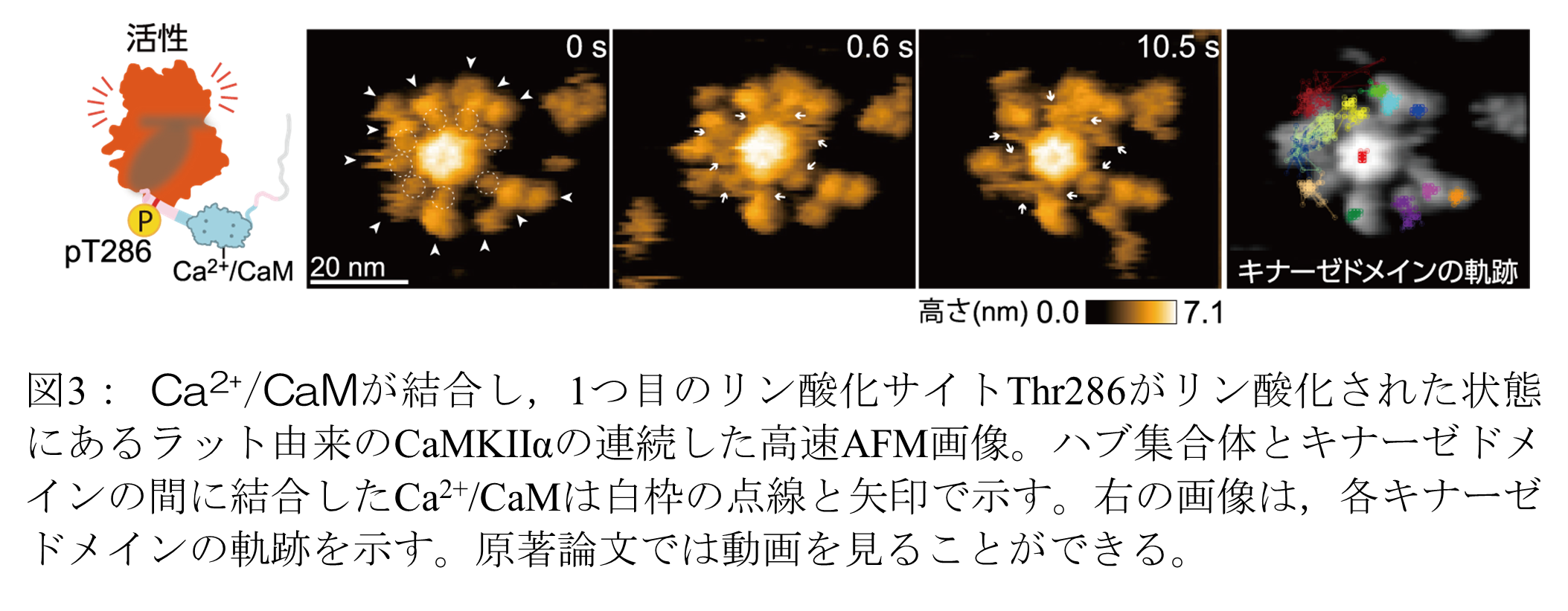 20230701murakoshi-3.png