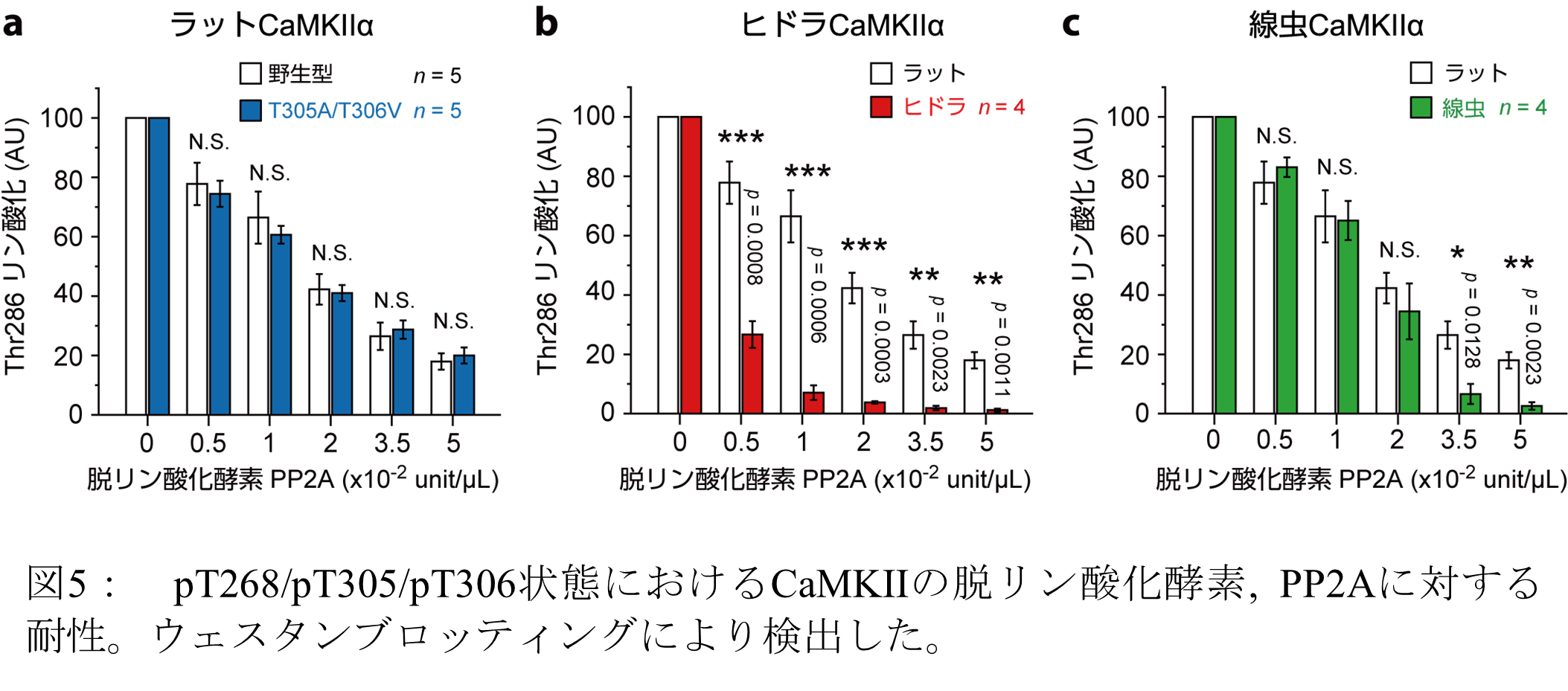 20230701murakoshi-5.png