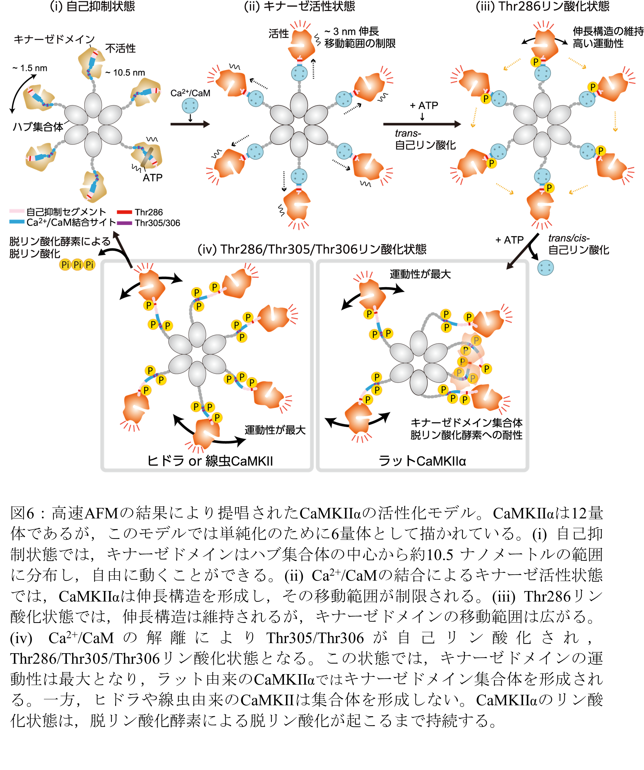 20230701murakoshi-6.png