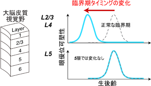20240625yoneda-4.png