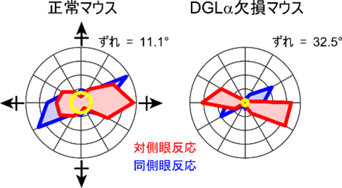 20240625yoneda-5.png
