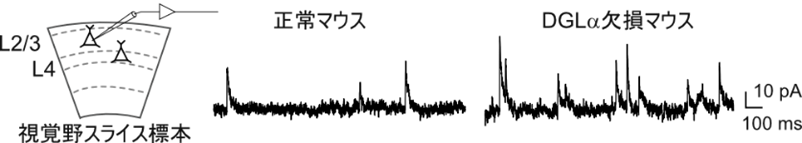20240625yoneda-6.png