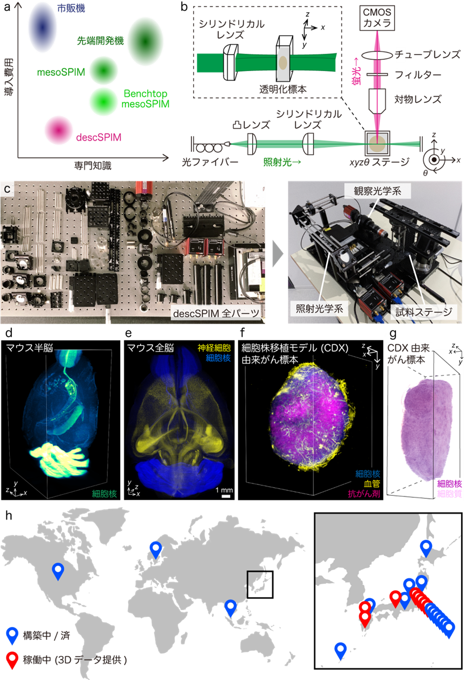 20240701ohtomo-1.png