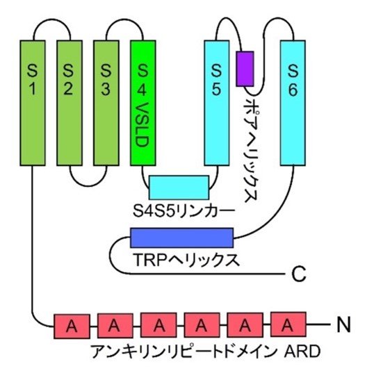 202408tominaga-1.jpg