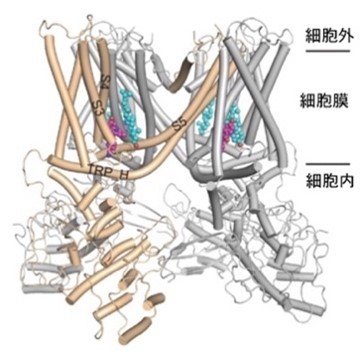 202408tominaga-3.jpg