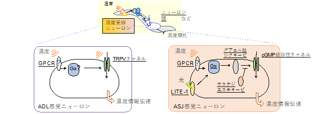 2024sokabe-2.png