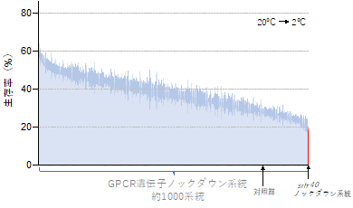 2024sokabe-3.png