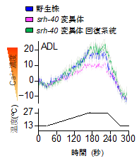 2024sokabe-5.png