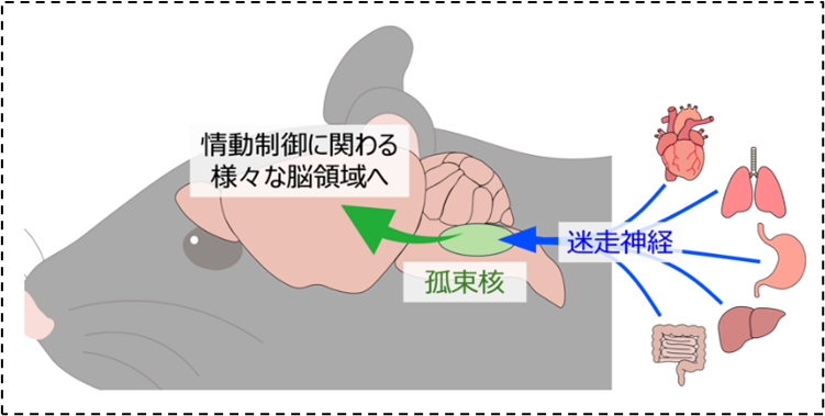 2025.4.5agetsuma-1.png