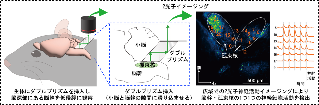 2025.4.5agetsuma-3.png