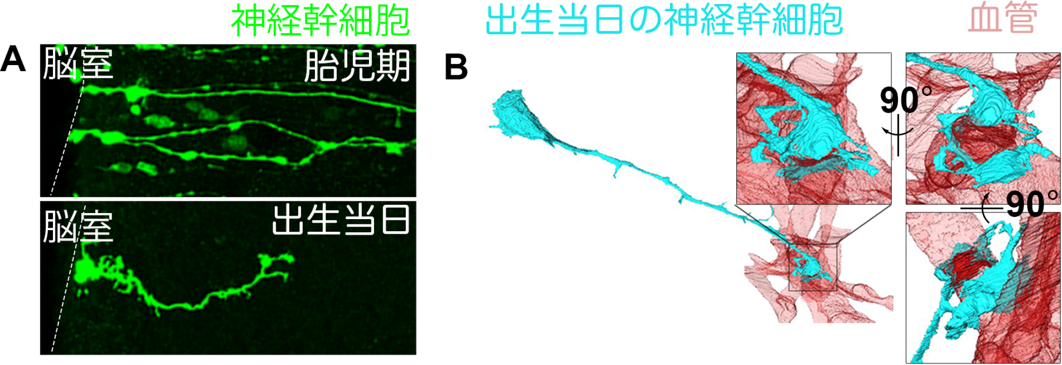 2025.7.26sawamoto-2.png