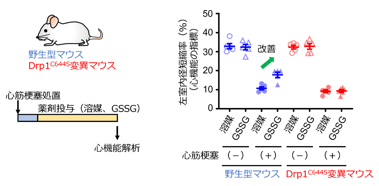 202501nishida-4.png