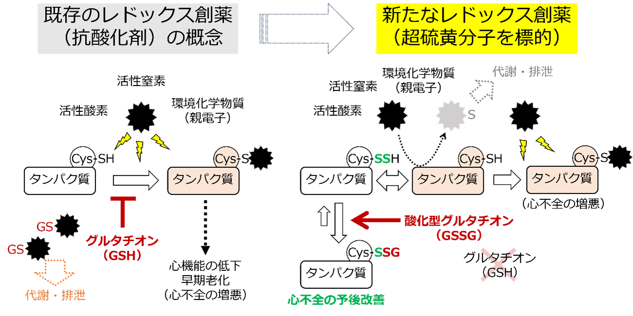 202501nishida-5.png